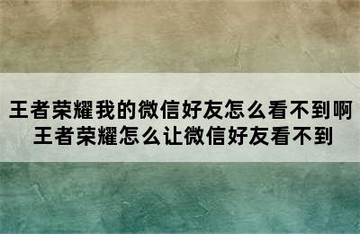 王者荣耀我的微信好友怎么看不到啊 王者荣耀怎么让微信好友看不到